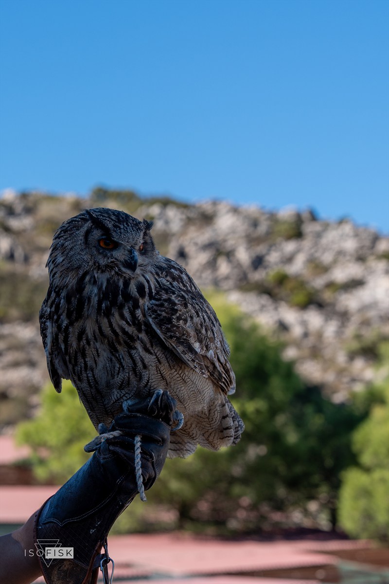 A photograph from Costa del Sol.