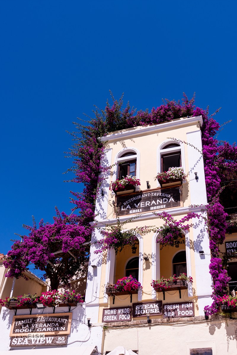 Stone tower framed by vivid pink bougainvillea