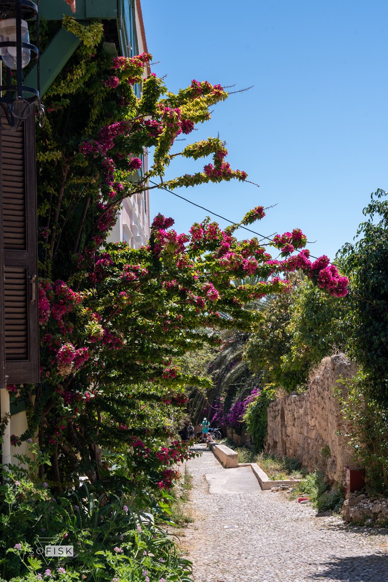 Sunlit lane with pink bougainvillea and stone walls