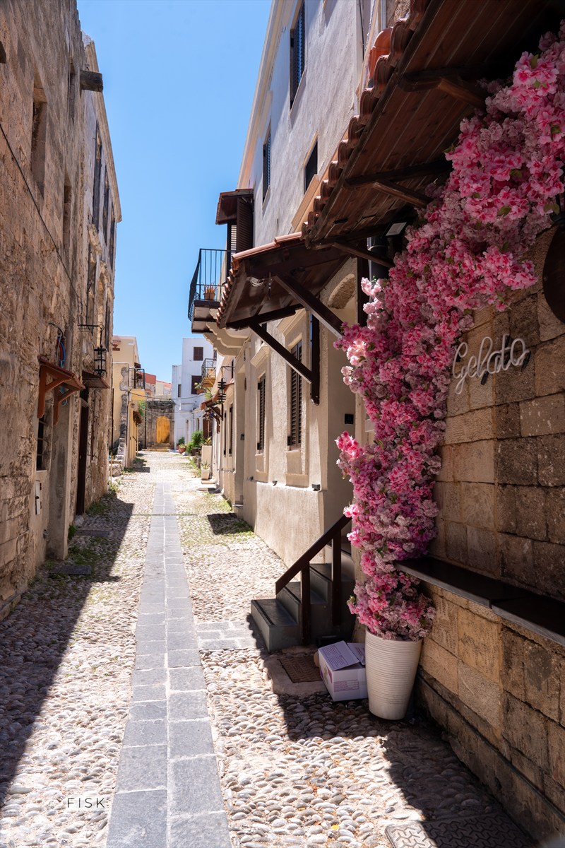Pink bougainvillea beside a narrow stone lane