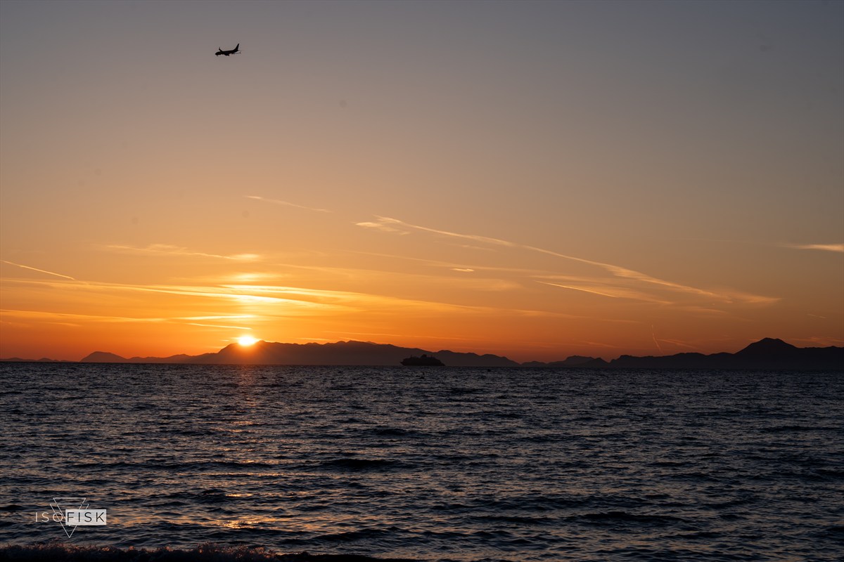 Sunset over a calm sea with a bird in the sky