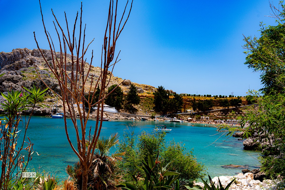 Turquoise cove framed by dry coastal plants