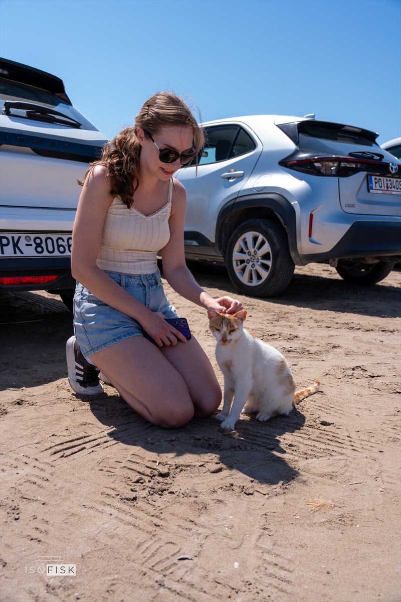 Person crouching to greet an orange and white cat