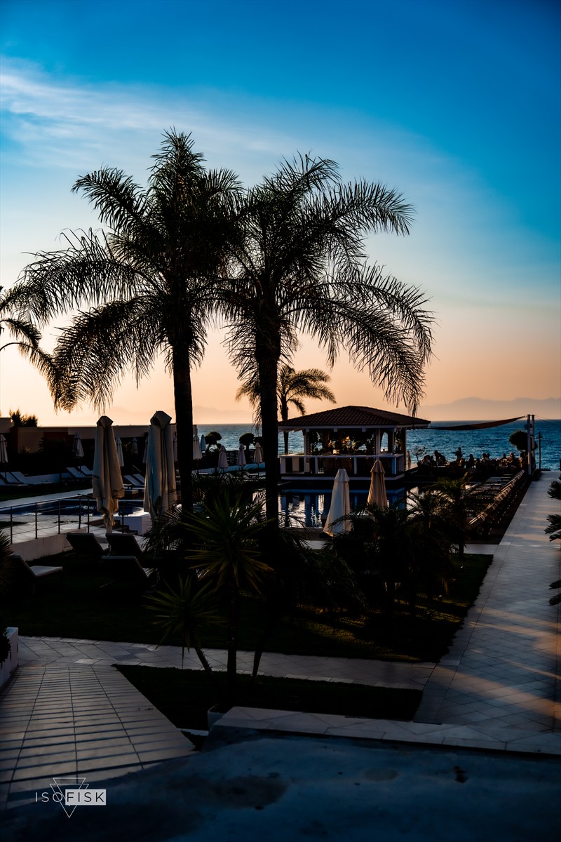 Palm trees and a pool at dusk